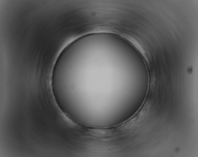 X0000102851197200809021353