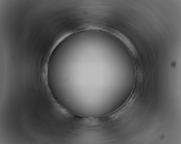 X0000102851198200809021353