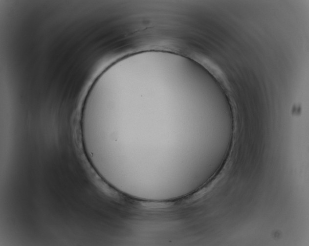 X0000102851200200809021353