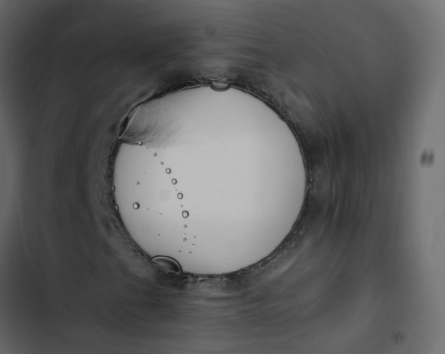 X0000102851201200809021352