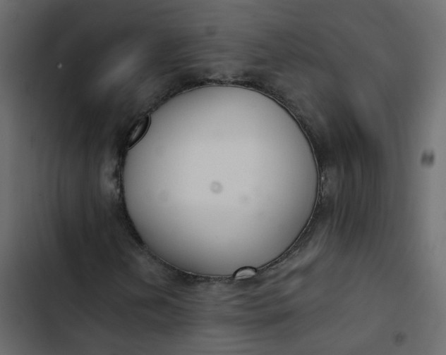 X0000102851202200809021352