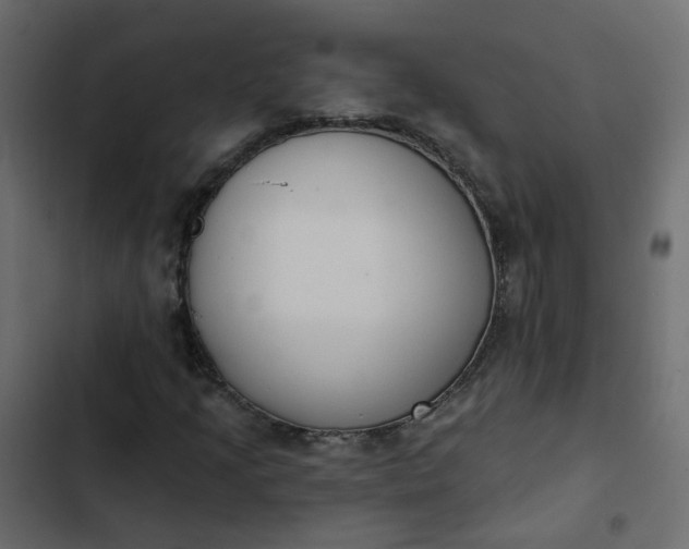 X0000102851205200809021353