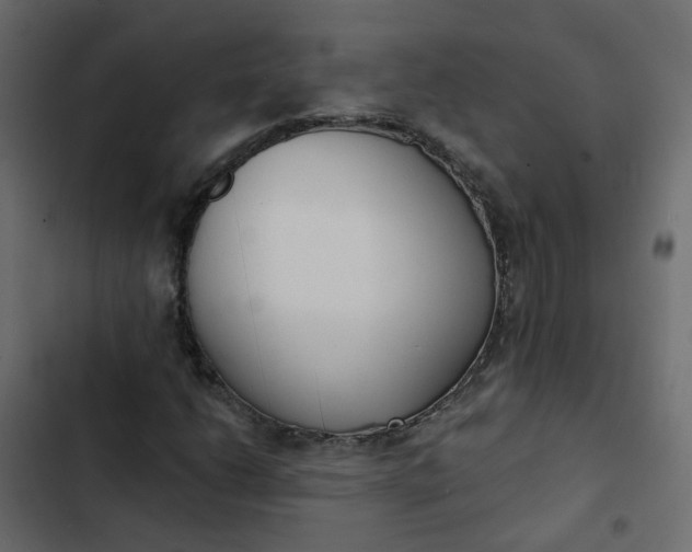 X0000102851206200809021353