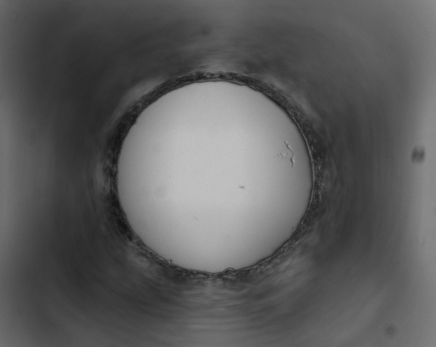 X0000102851207200809021353