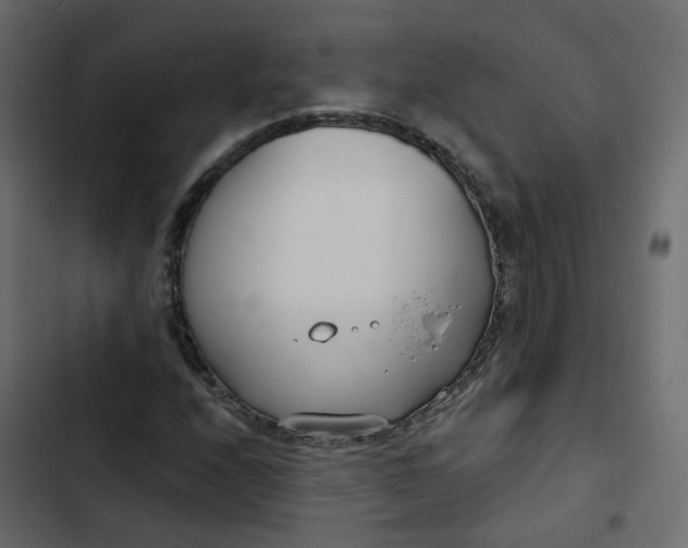 X0000102851208200809021353