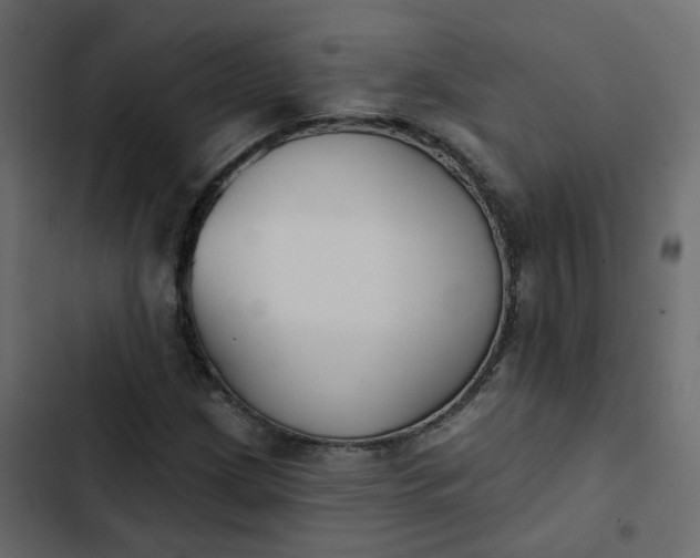 X0000102851209200809021353