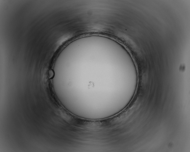 X0000102851210200809021353