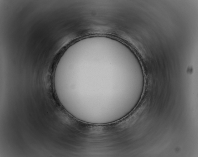 X0000102851211200809021353