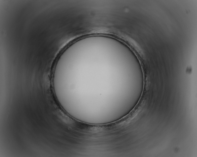 X0000102851212200809021353