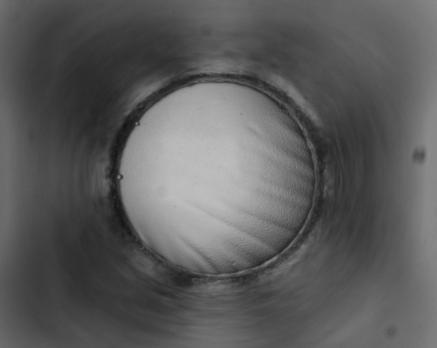 X0000102851213200809021353