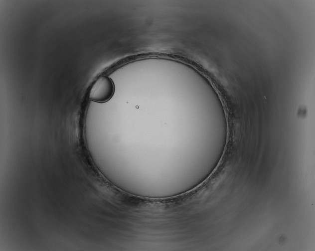 X0000102851214200809021353