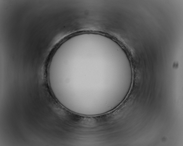 X0000102851215200809021353