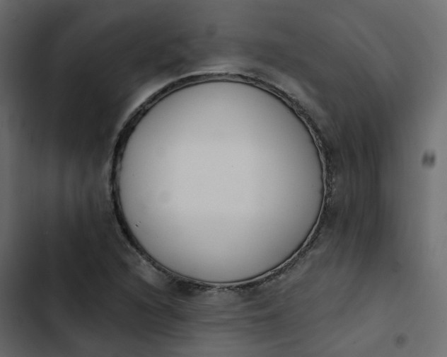 X0000102851216200809021353