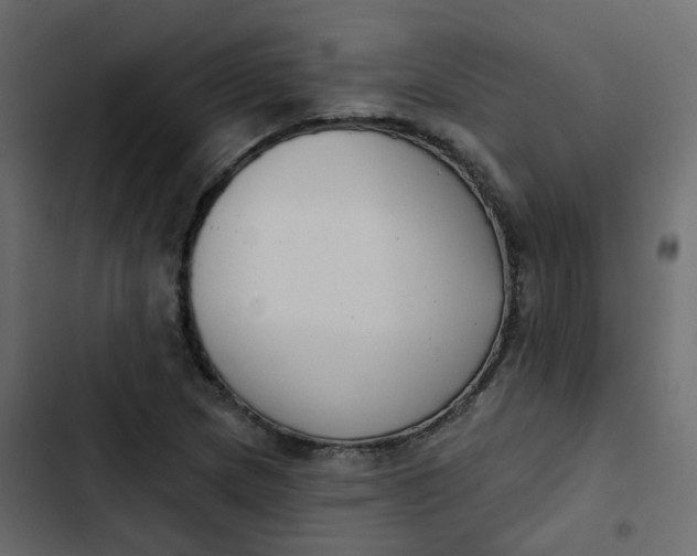 X0000102851217200809021353