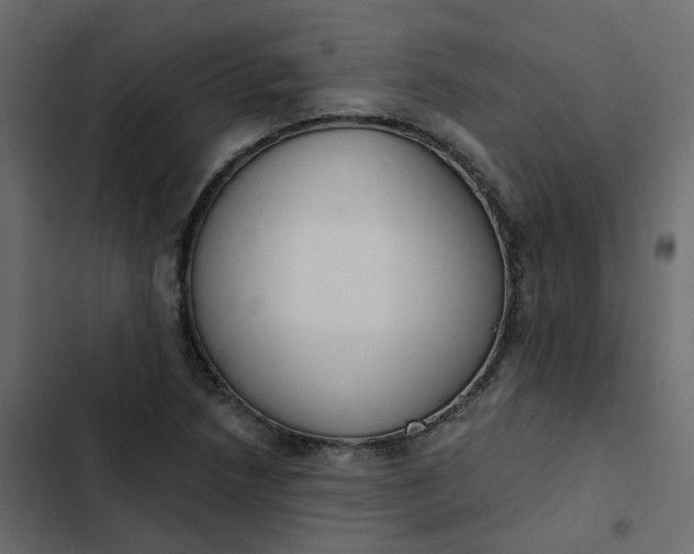 X0000102851218200809021353