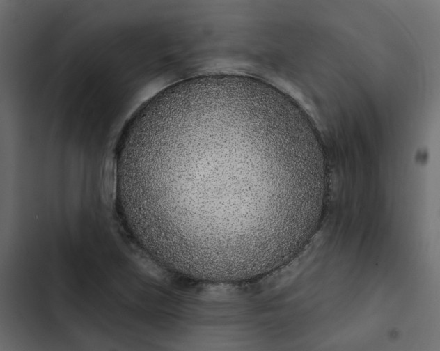 X0000102851219200809021353