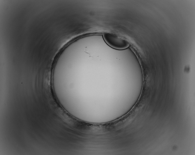 X0000102851220200809021353