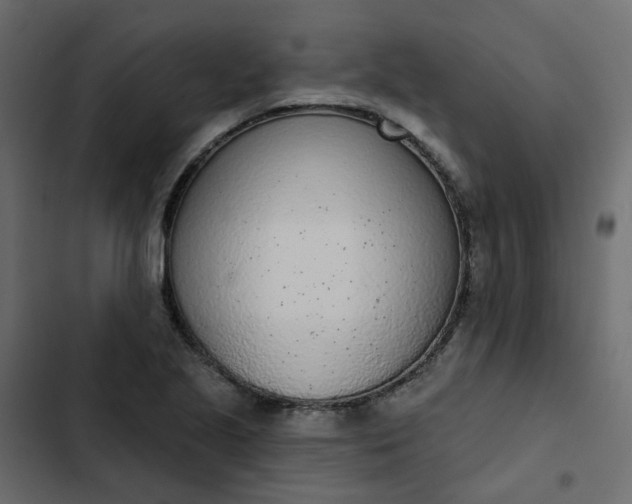 X0000102851221200809021353