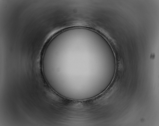 X0000102851222200809021353