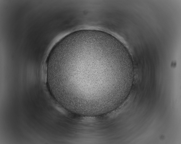 X0000102851223200809021353