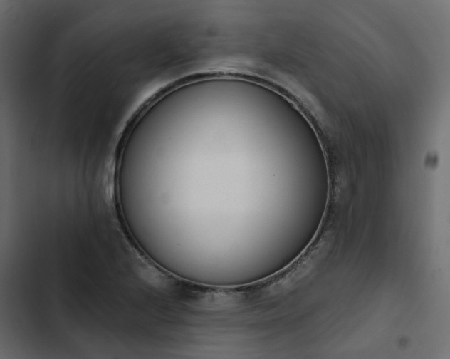 X0000102851224200809021353