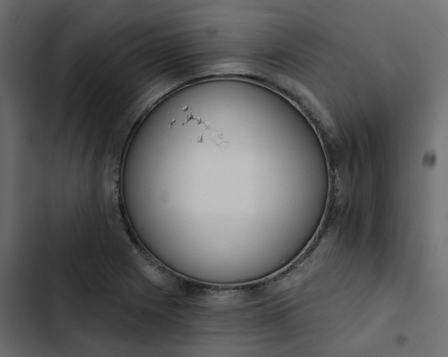 X0000102851225200809021353