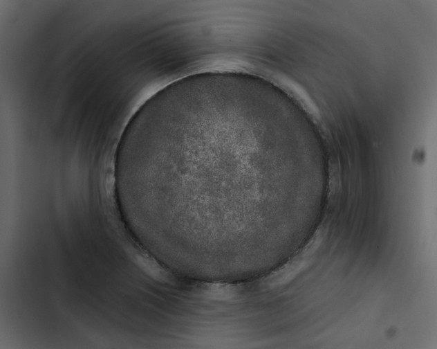 X0000102851226200809021353