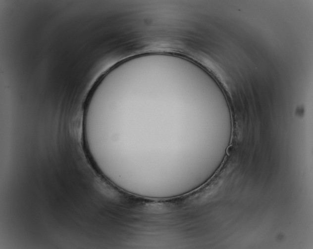 X0000102851227200809021353