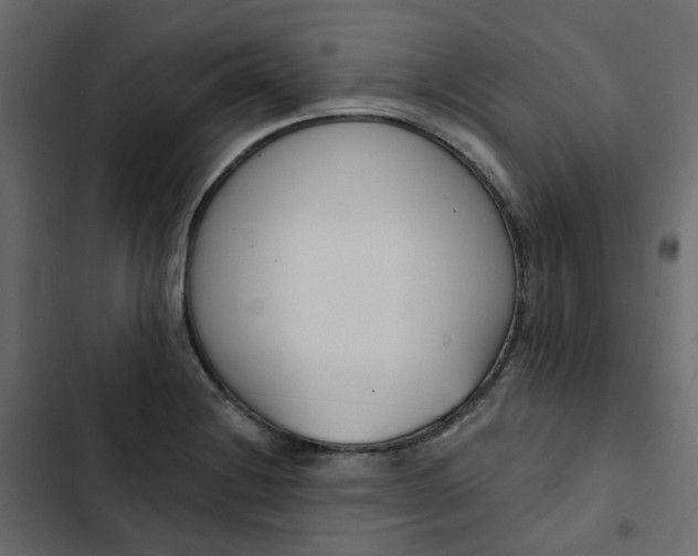 X0000102851228200809021353