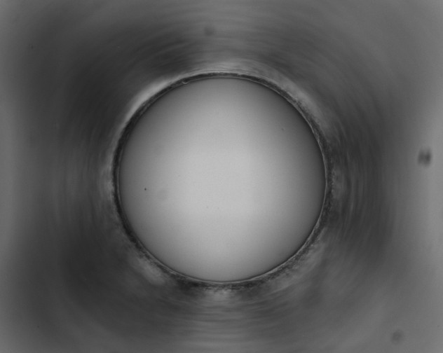 X0000102851230200809021353