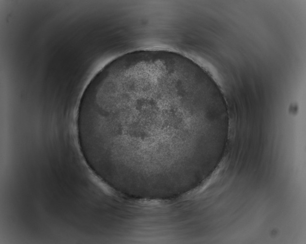 X0000102851231200809021353