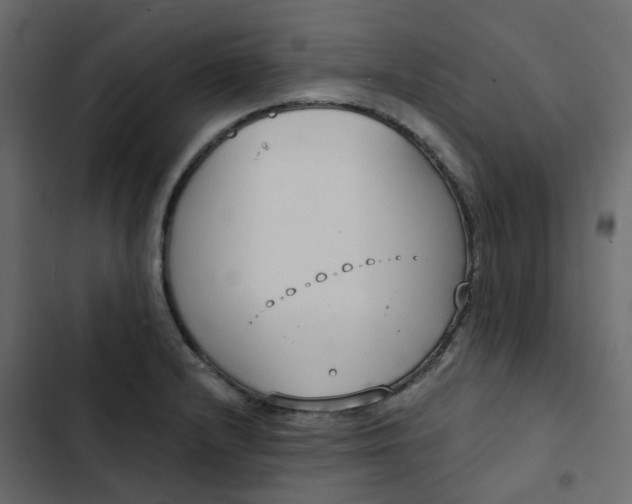 X0000102851232200809021353