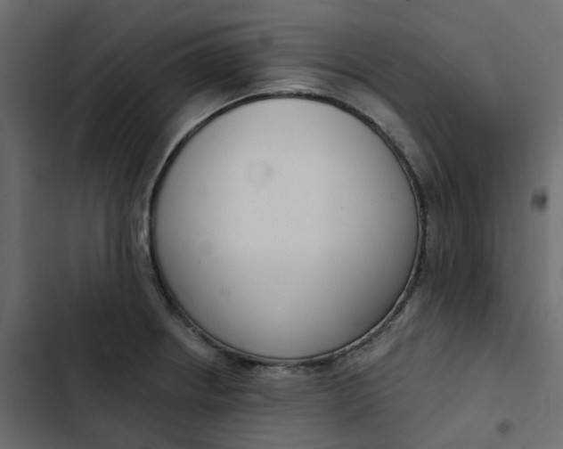 X0000102851234200809021353