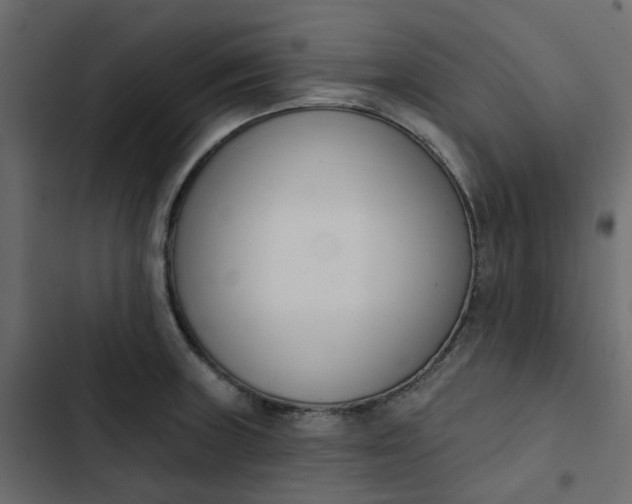 X0000102851235200809021353