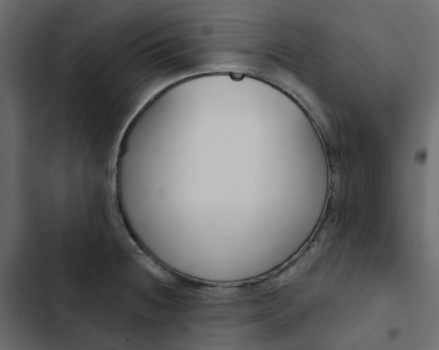 X0000102851236200809021353