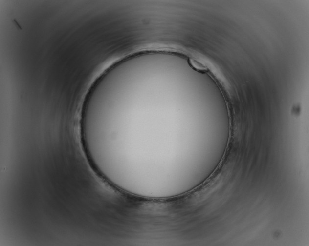 X0000102851237200809021353