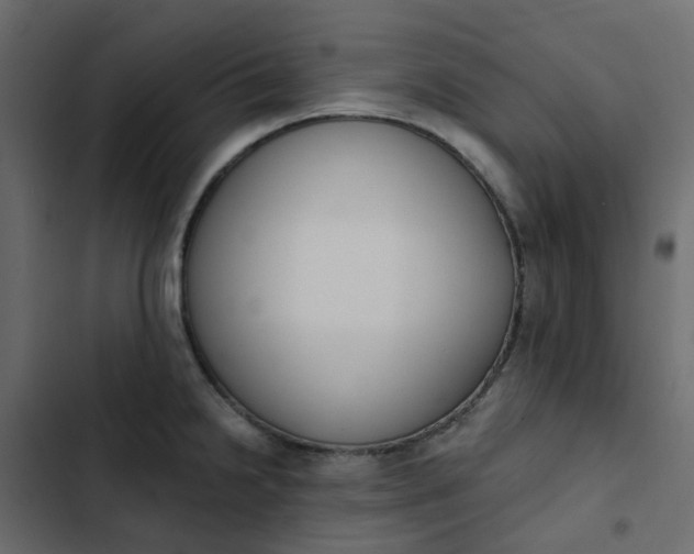 X0000102851238200809021353