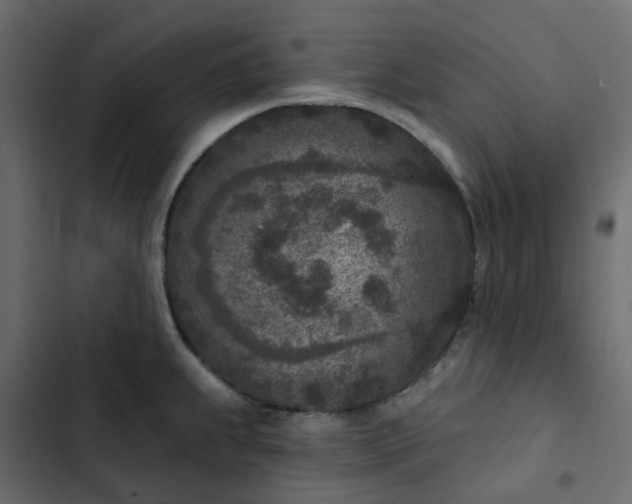 X0000102851239200809021353