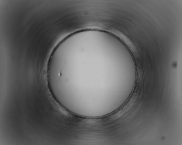 X0000102851240200809021353