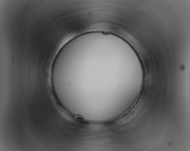 X0000102851242200809021353