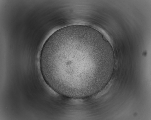 X0000102851243200809021353