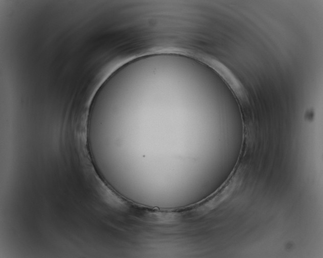 X0000102851244200809021353