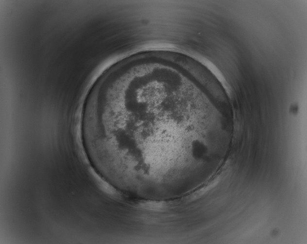 X0000102851245200809021353