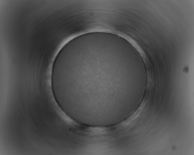 X0000102851246200809021353