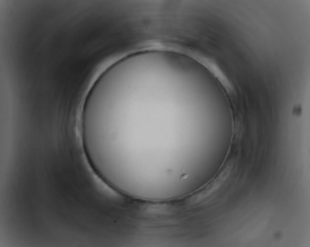 X0000102851247200809021353