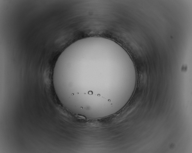 X0000102851250200809021352