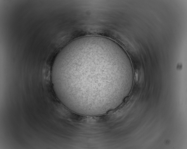 X0000102851251200809021352