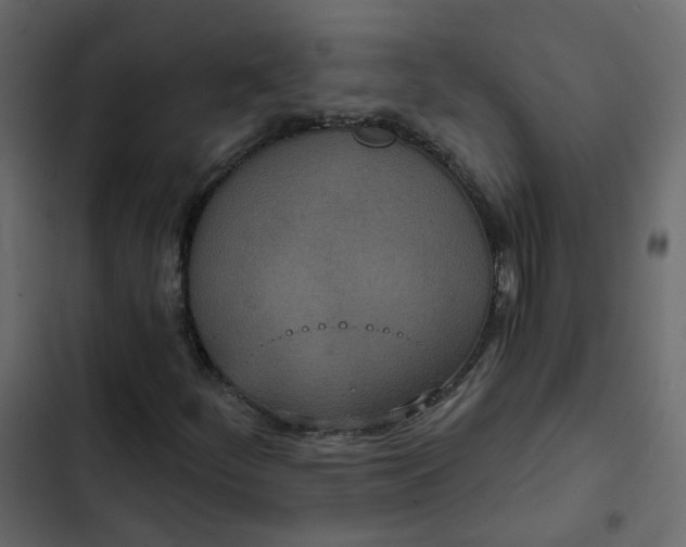 X0000102851252200809021352