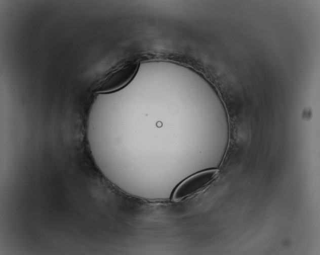 X0000102851253200809021352