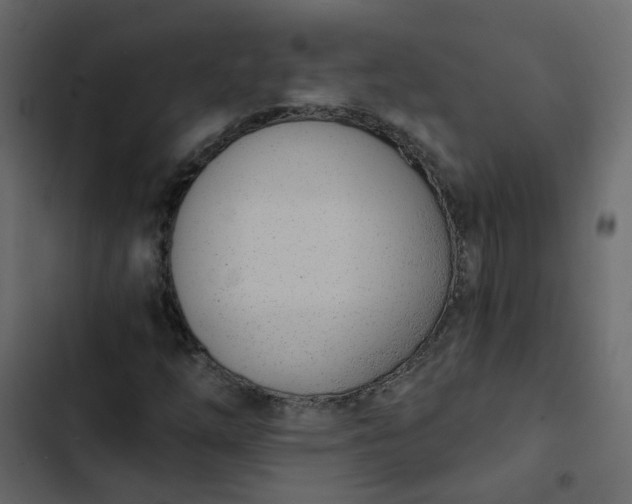 X0000102851254200809021352